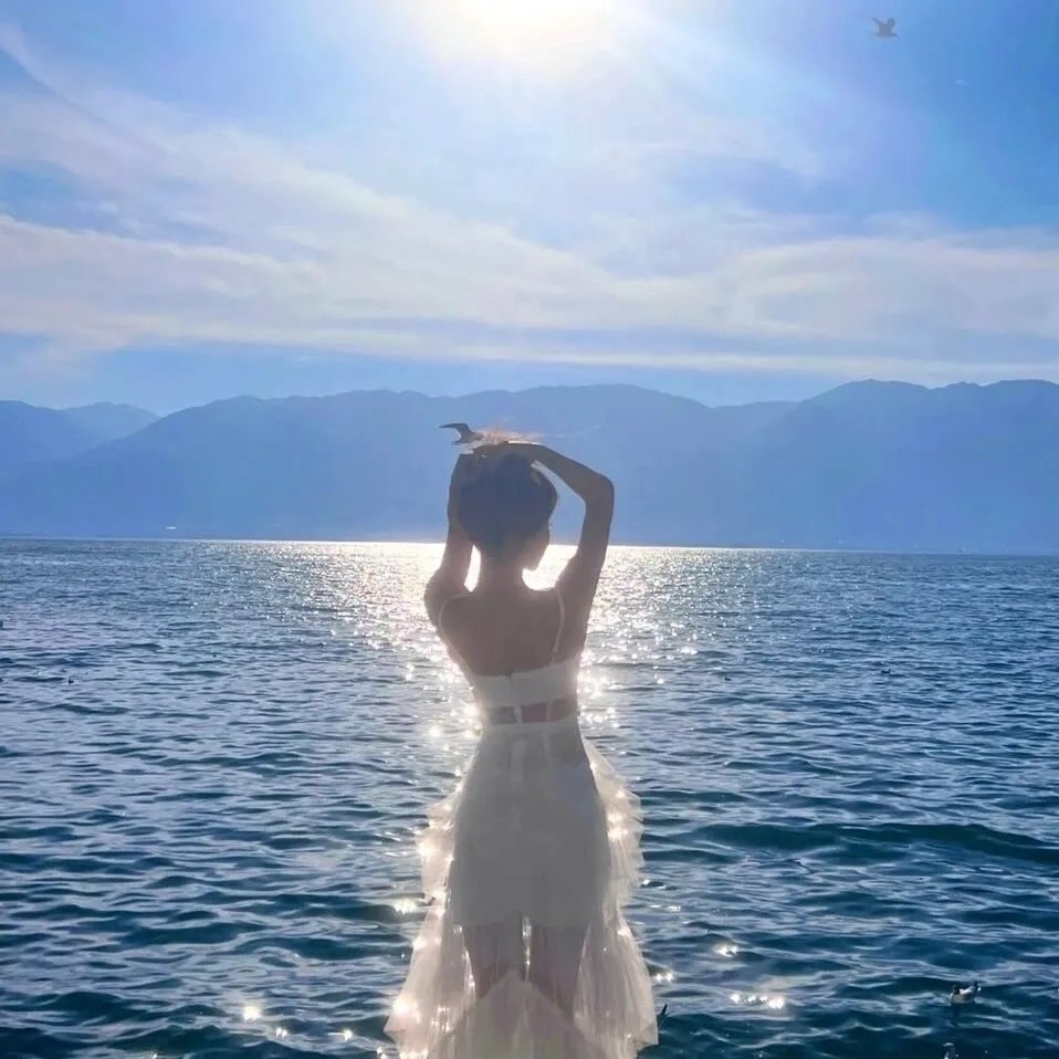 在屋顶上流浪